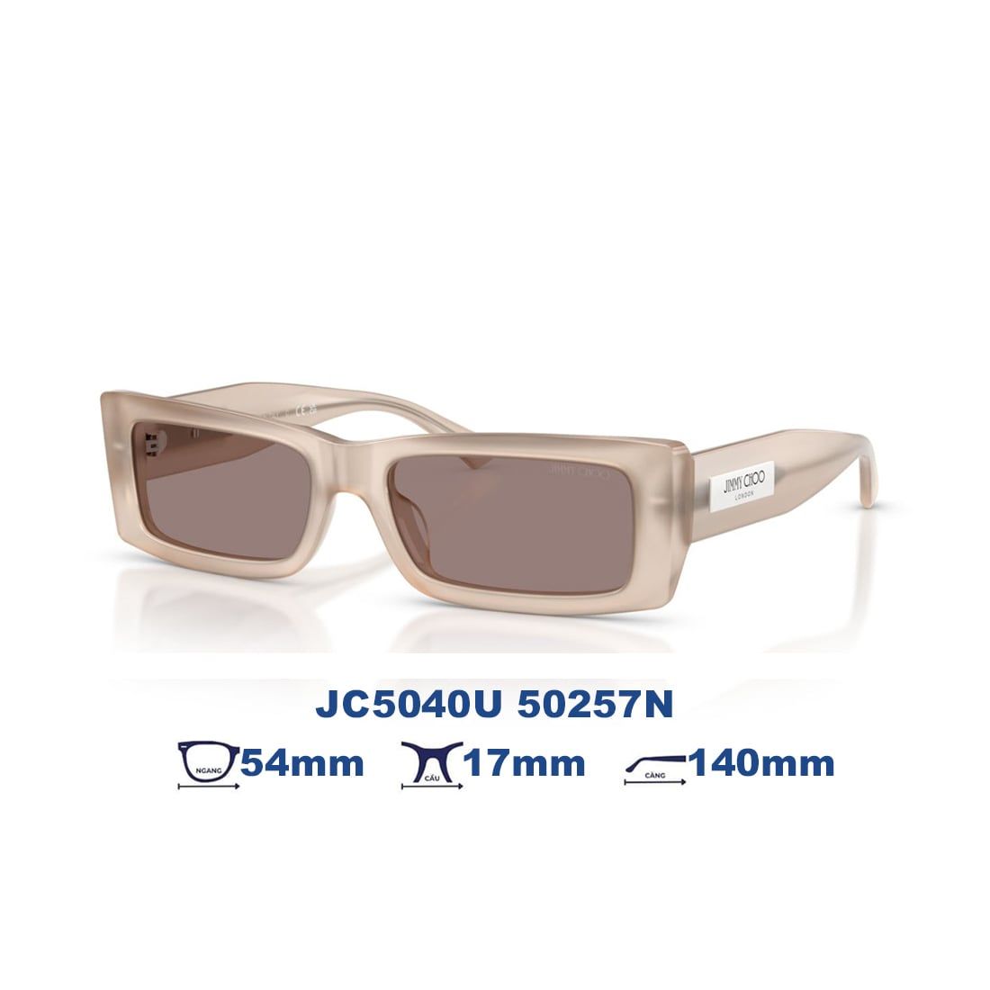  Kính mát JIMMY CHOO JC5040U 50257N 
