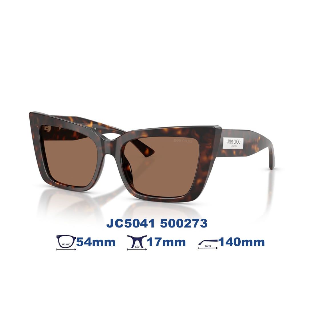  Kính mát JIMMY CHOO JC5041 500273 