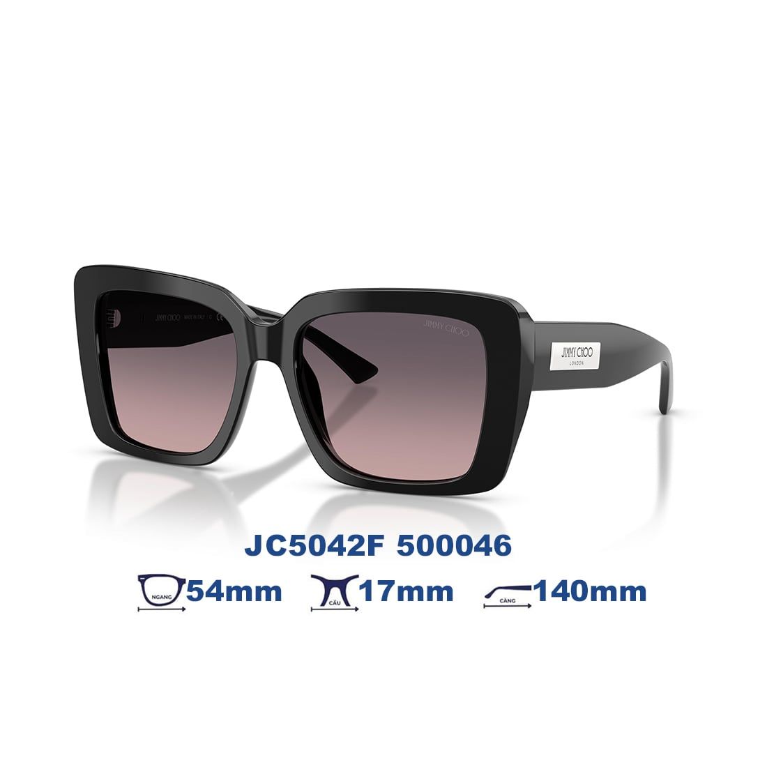  Kính mát JIMMY CHOO JC5042F 500046 