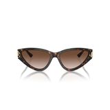  Kính mát JIMMY CHOO JC5019 500213 