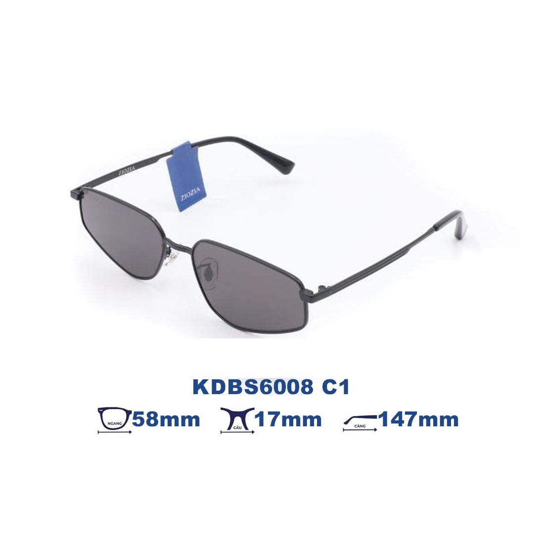  Kính mát Ziozia KDBS6008 C1 