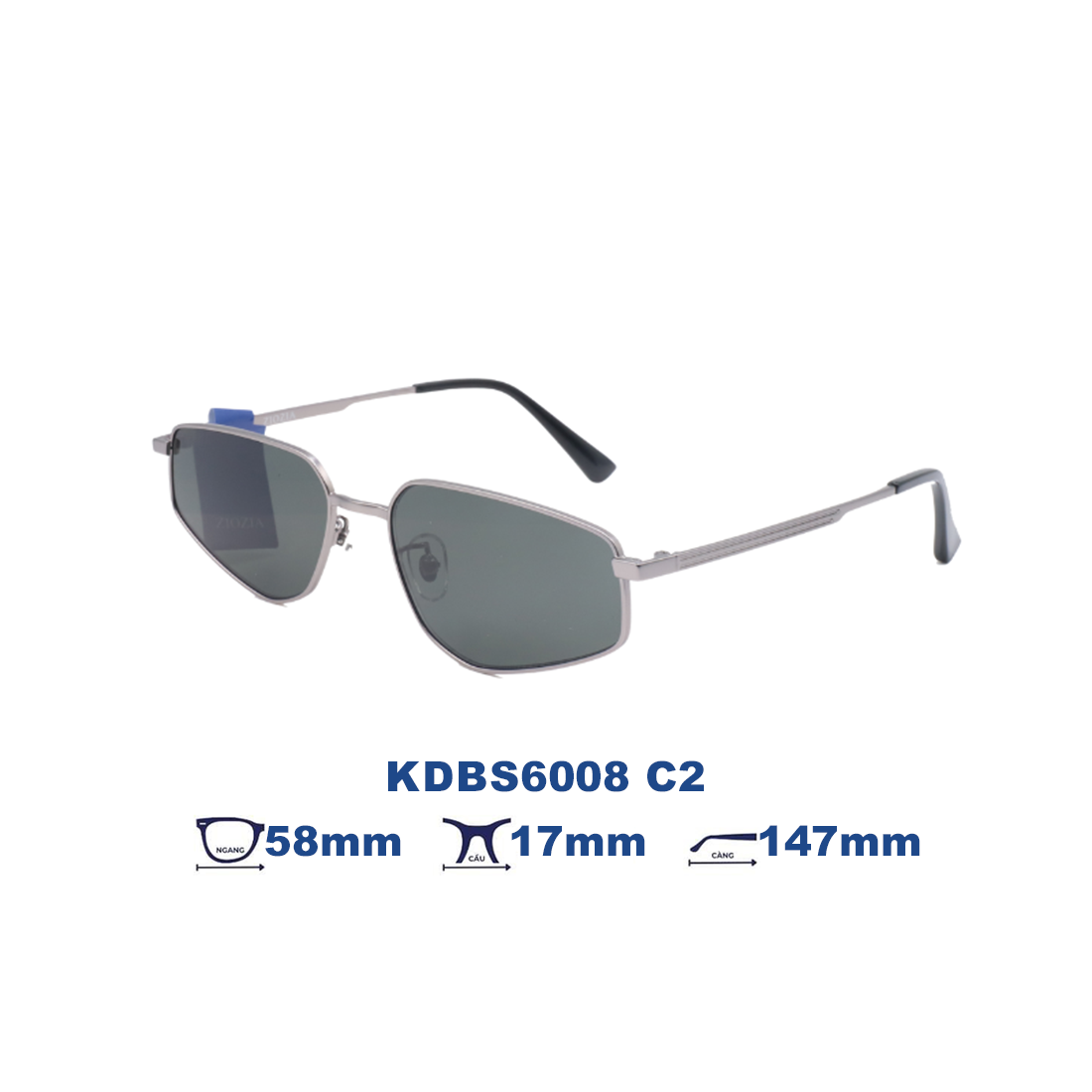  Kính mát Ziozia KDBS6008 C2 