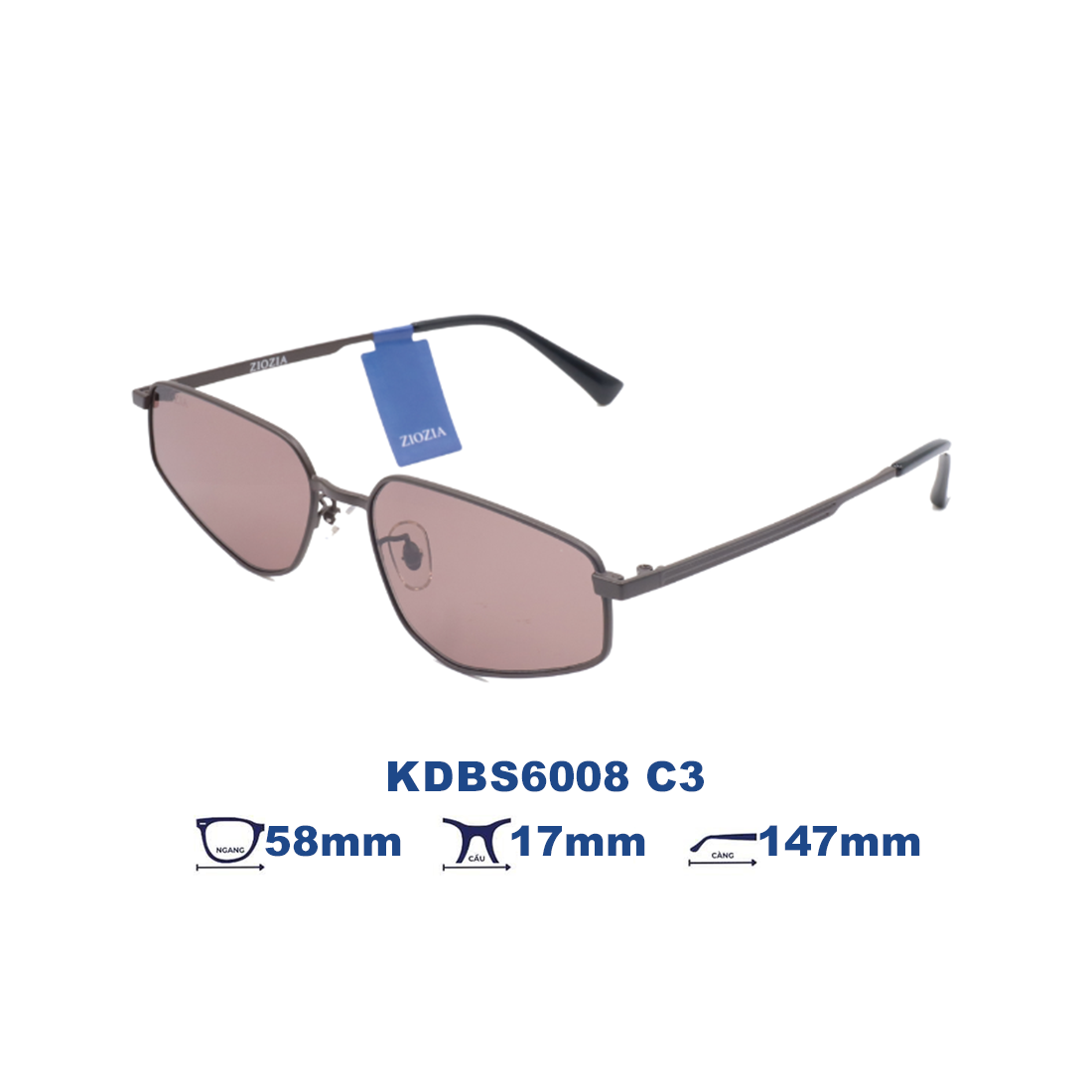  Kính mát Ziozia KDBS6008 C3 