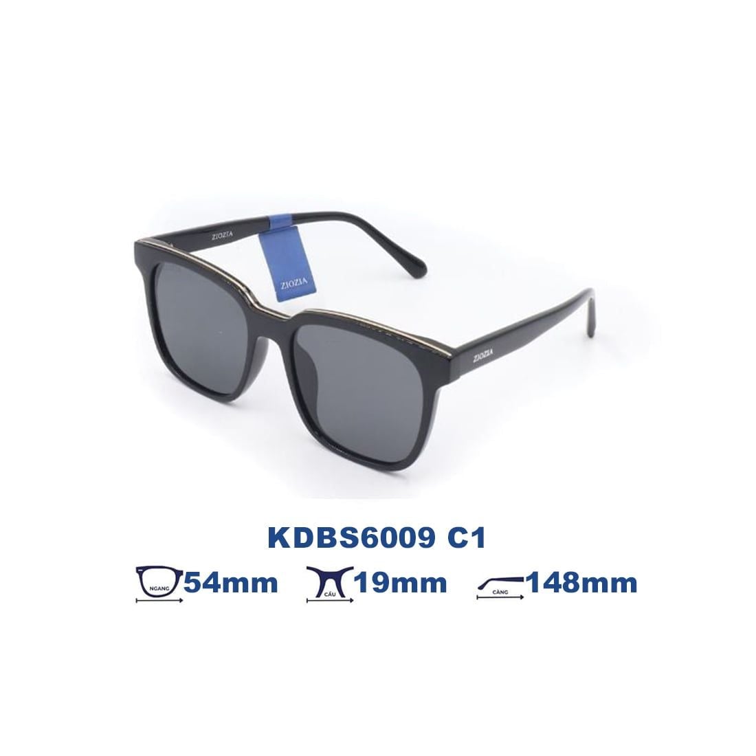  Kính mát Ziozia KDBS6009 C1 