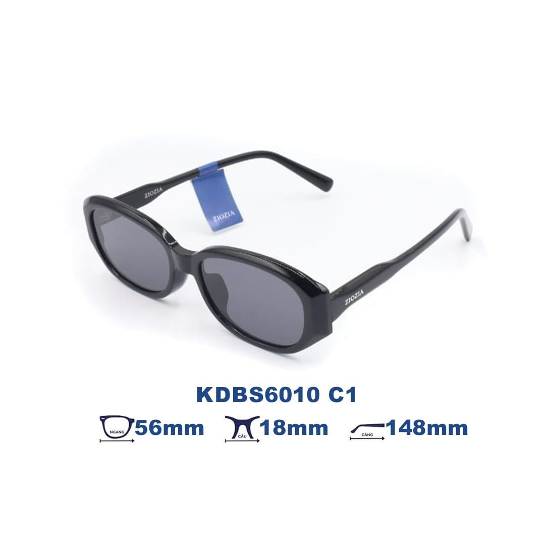  Kính mát Ziozia KDBS6010 C1 