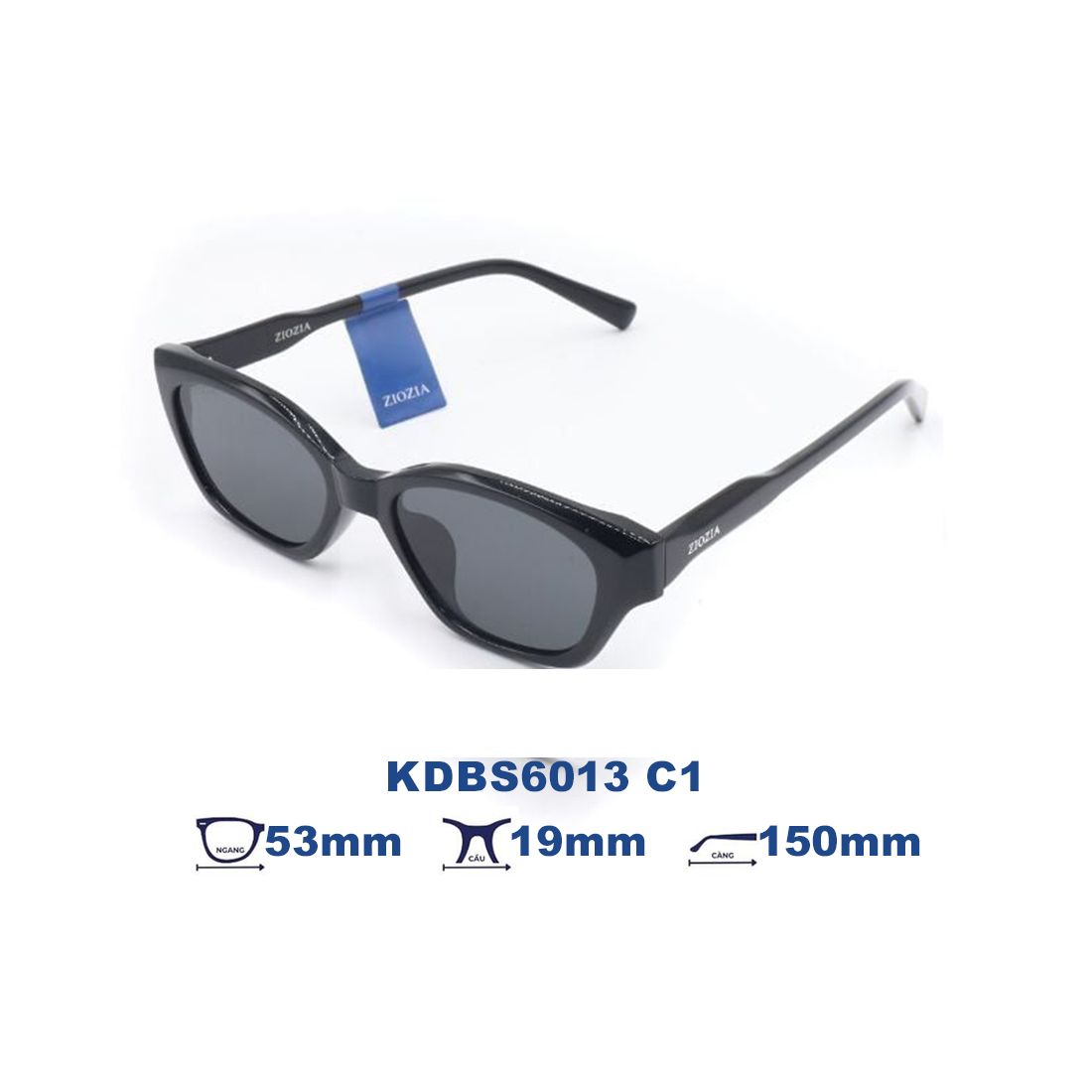  Kính mát Ziozia KDBS6013 C1 