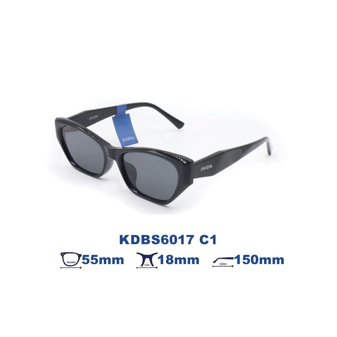  Kính mát Ziozia KDBS6017 C1 