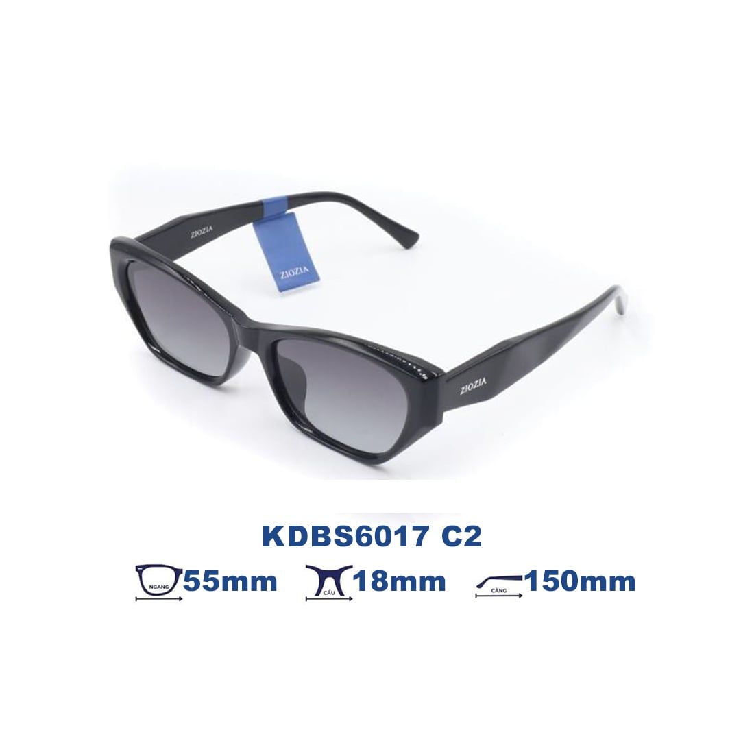  Kính mát Ziozia KDBS6017 C2 
