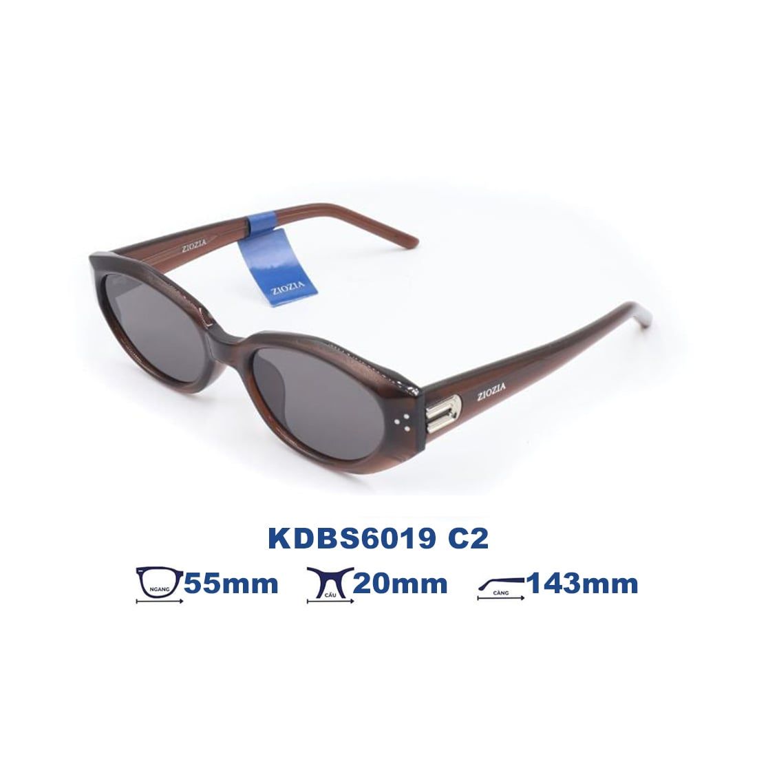  Kính mát Ziozia KDBS6019 C2 