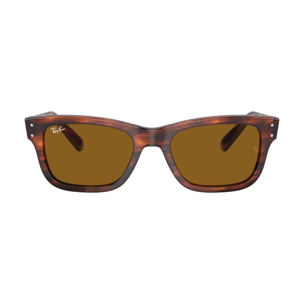 Kính mát Rayban Burbank RB2283 954/33