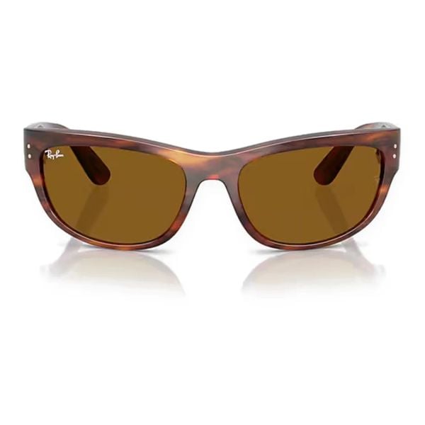 Kính mát Rayban Mega Balorama RB2289 954/33 - Nâu đồi mồi sọc bóng, tròng nâu B-15
