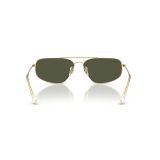 Kính mát Rayban RB3780 00131