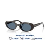 Kính mát Rayban RB4441D 686880
