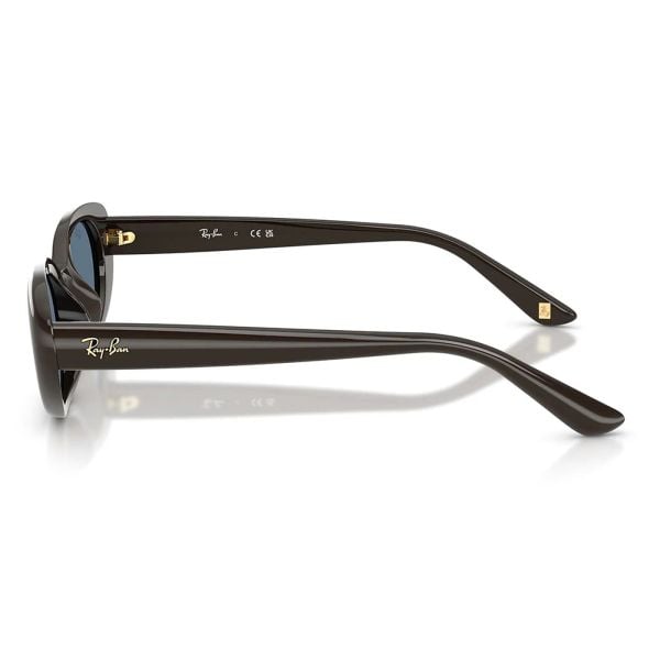 Kính mát Rayban RB4441D 686880