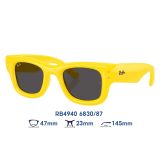 Kính mát Rayban Wayfarer Puffer RB4940 6830/87