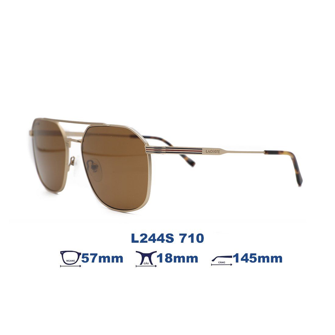  Kính mát LACOSTE L244S 710 