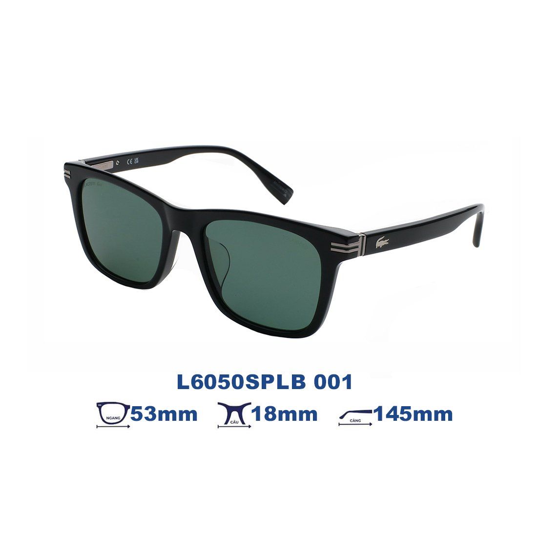  Kính mát LACOSTE L6050SPLB 001 