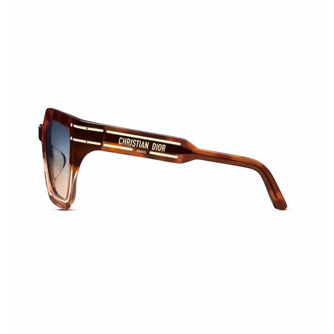 Kính mát Dior IORSIGNATURES10F 25F2 - Nâu havana