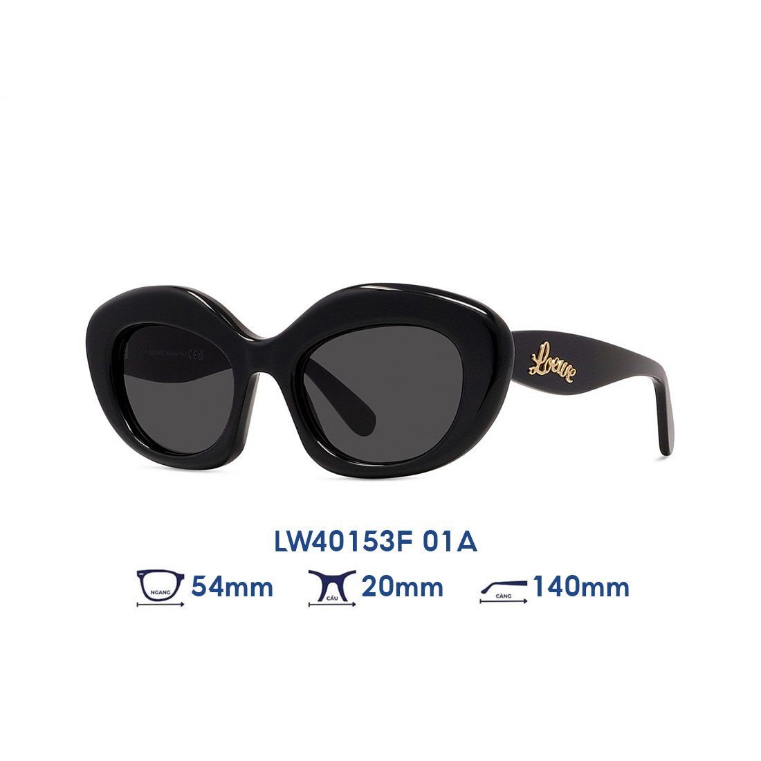  Kính mát Loewe LW40153F 01A 