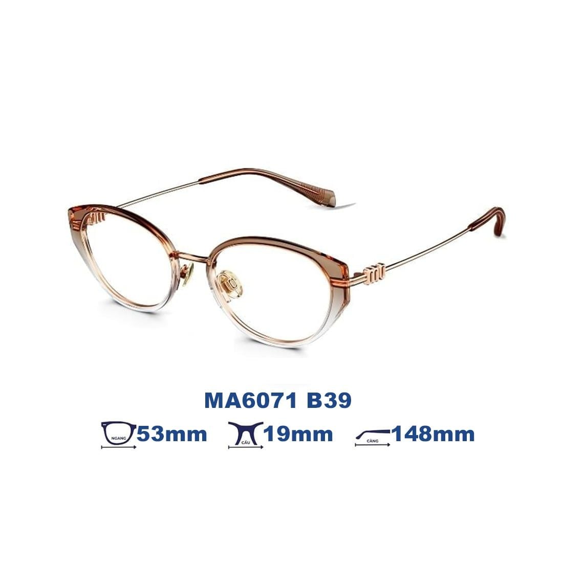  Gọng kính MOLSION MA6071 B39 