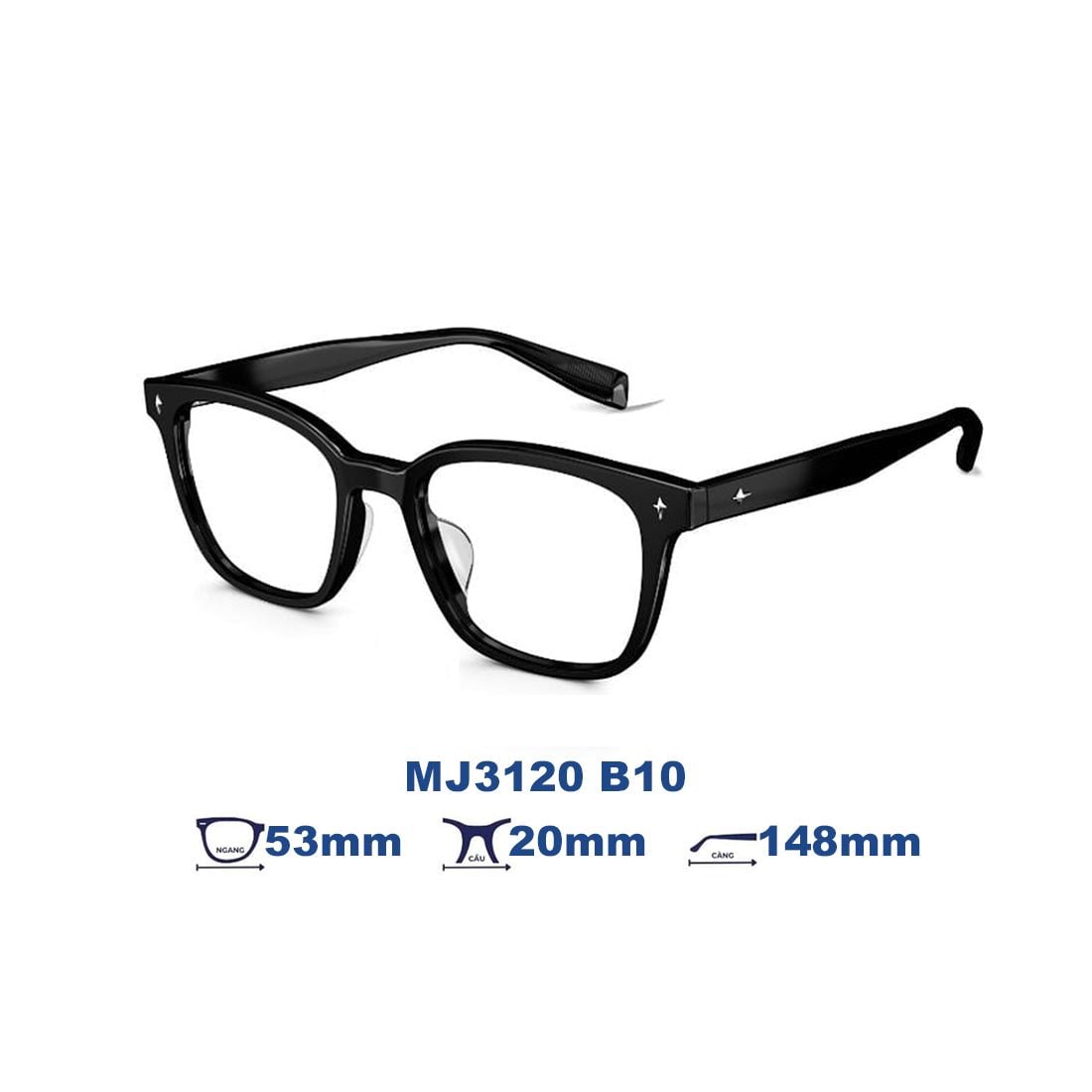  Gọng kính MOLSION MJ3120 B10 