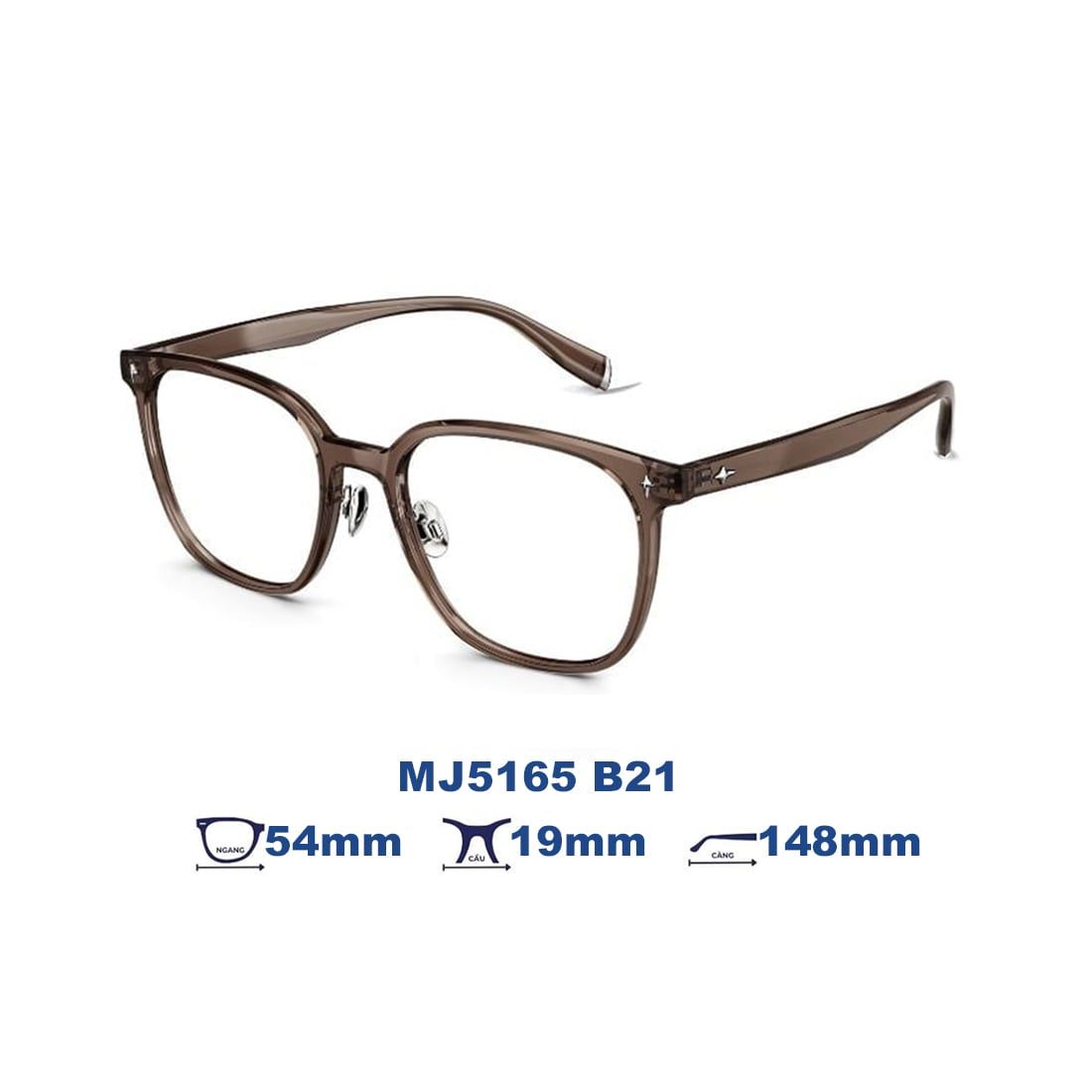 Gọng kính MOLSION MJ5165 B21