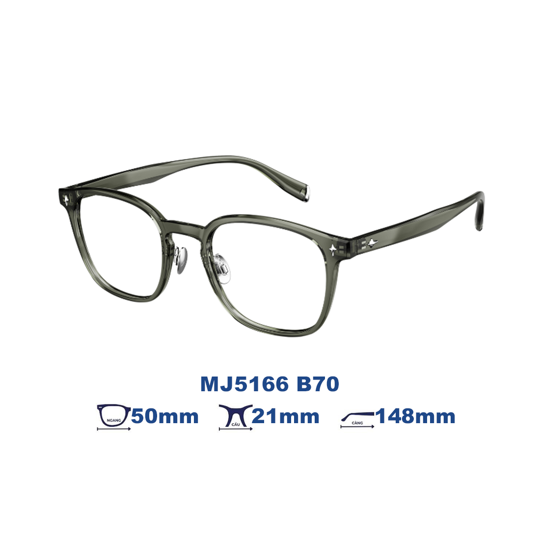  Gọng kính MOLSION MJ5166 B70 