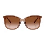 Kính mát MICHAEL KORS MK2079U 3938/3B