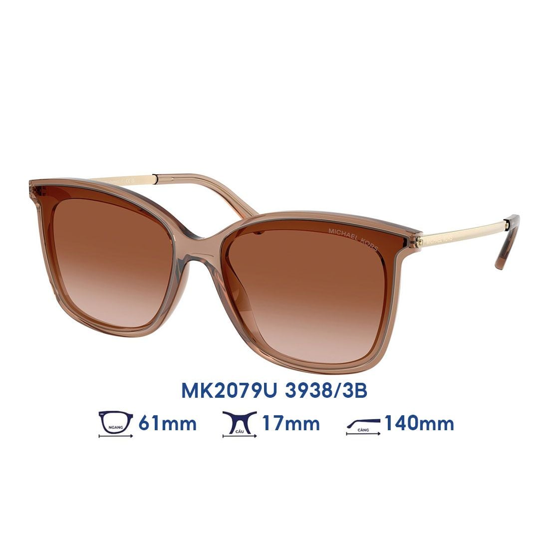 Kính mát MICHAEL KORS MK2079U 3938/3B
