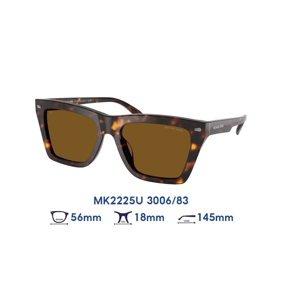 Kính mát MICHAEL KORS MK2225U 3006/83