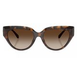  Kính mát MICHAEL KORS MK2241U 3006/13 