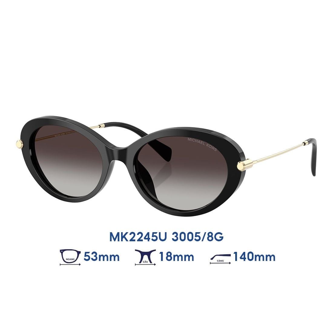 Kính mát MICHAEL KORS MK2245U 3005/8G