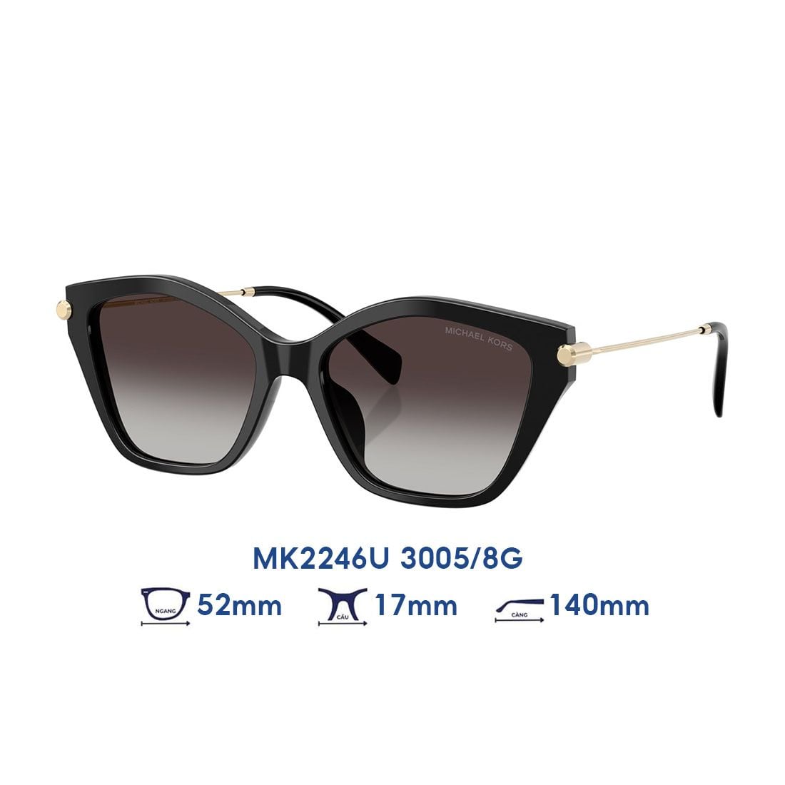 Kính mát MICHAEL KORS MK2246U 3005/8G