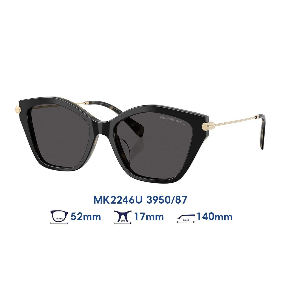 Kính mát MICHAEL KORS MK2246U 3950/87