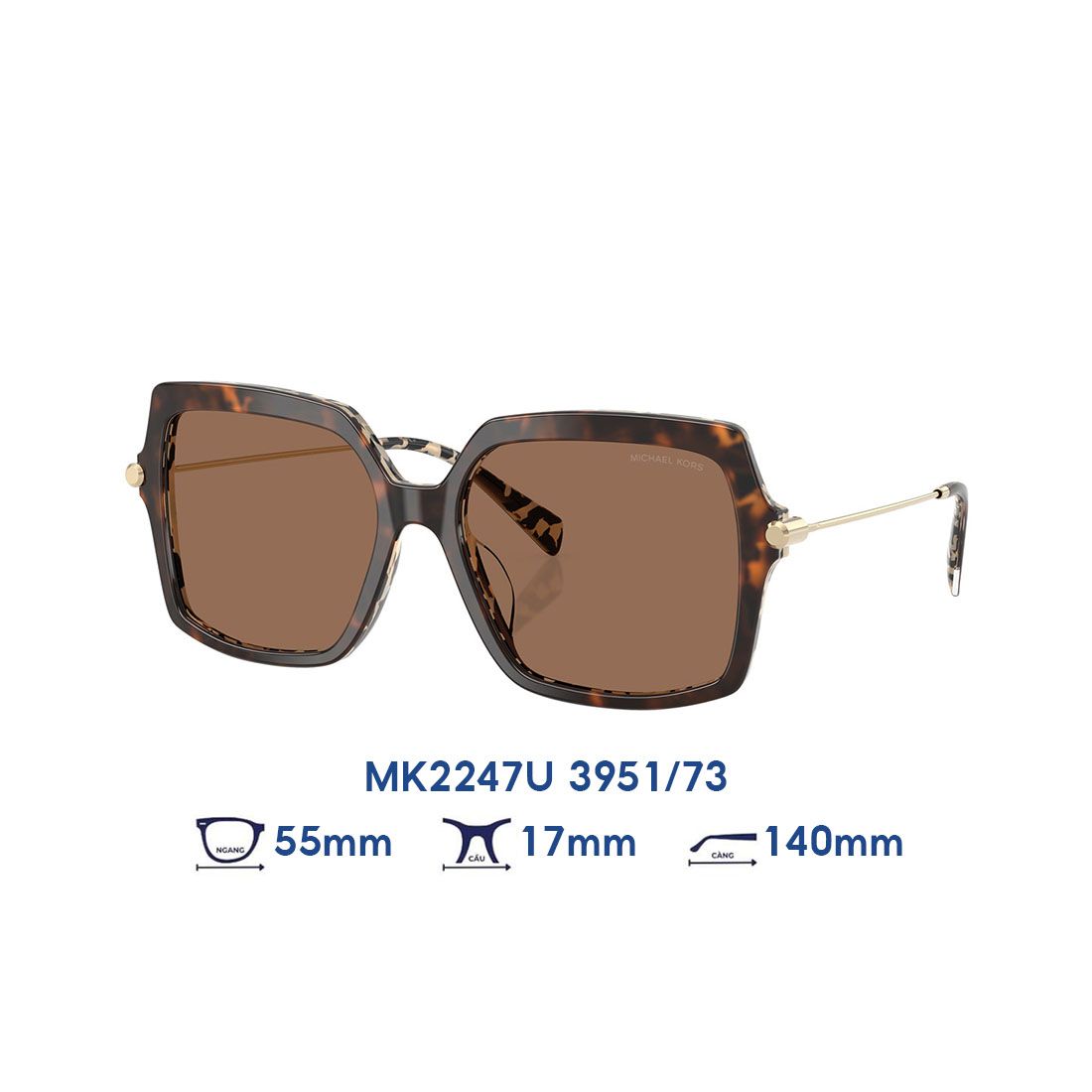 Kính mát MICHAEL KORS MK2247U 3951/73