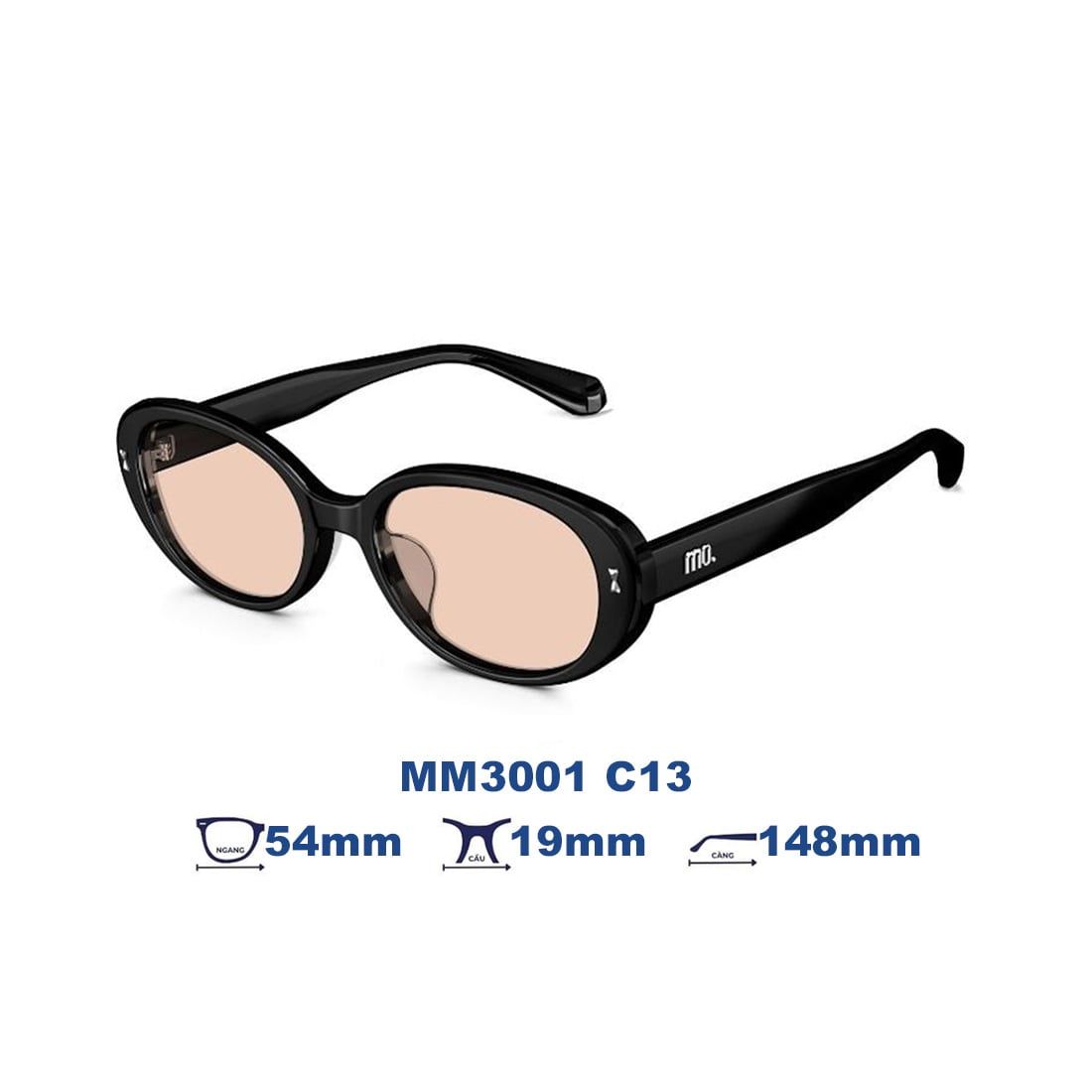 Kính mát MOLSION MM3001 C13