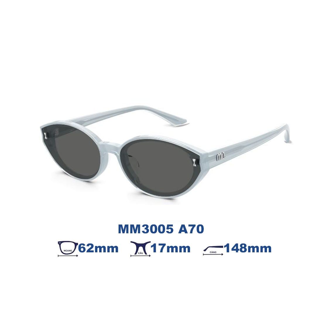 Kính mát MOLSION MM3005 A70