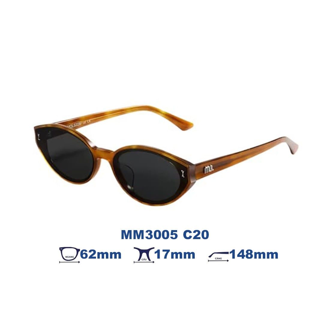 Kính mát MOLSION MM3005 C20