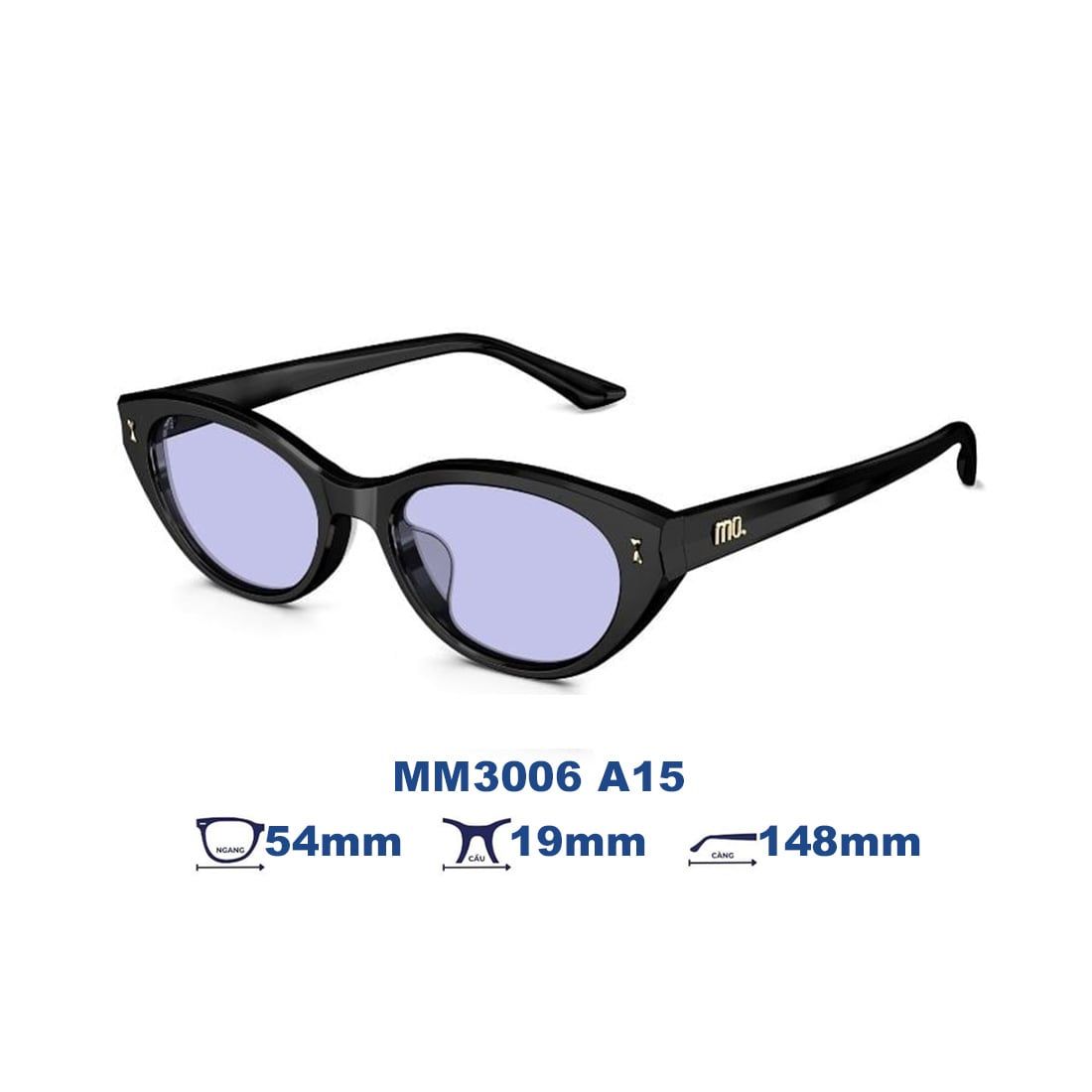 Kính mát MOLSION MM3006 A15
