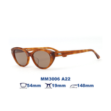 Kính mát MOLSION MM3006 A22