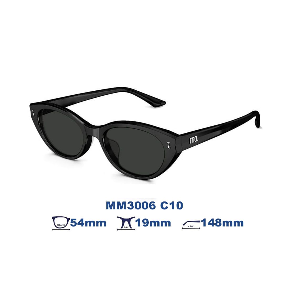Kính mát MOLSION MM3006 C10