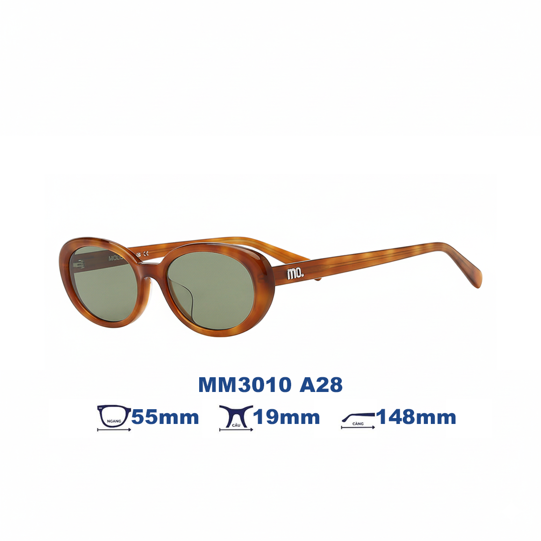 Kính mát MOLSION MM3010 A28