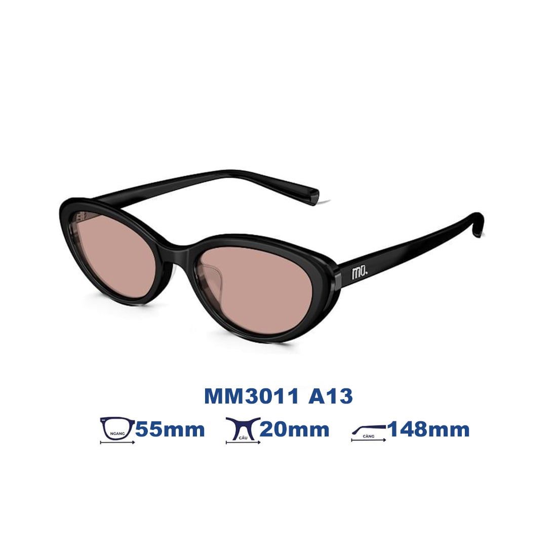 Kính mát MOLSION MM3011 A13
