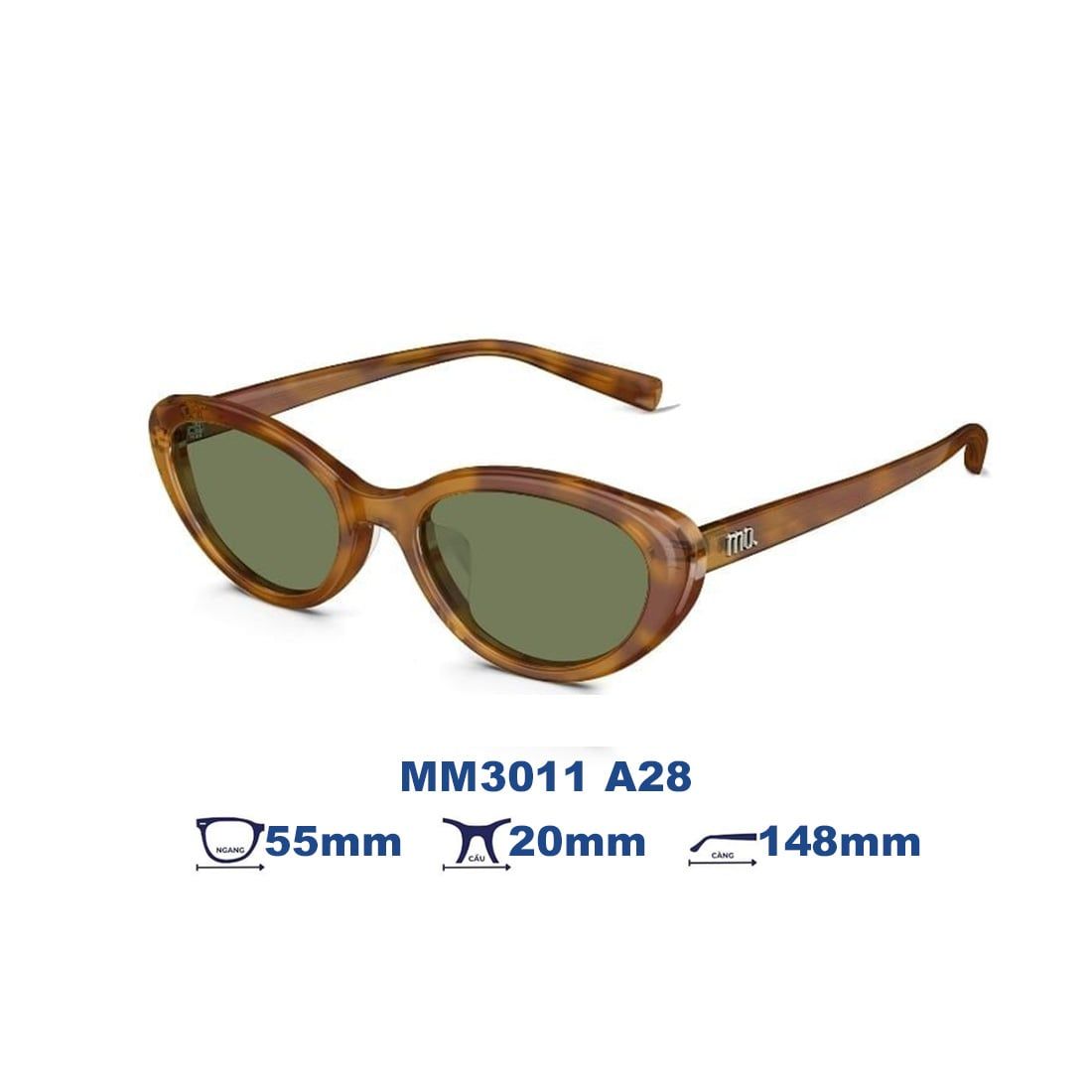 Kính mát MOLSION MM3011 A28