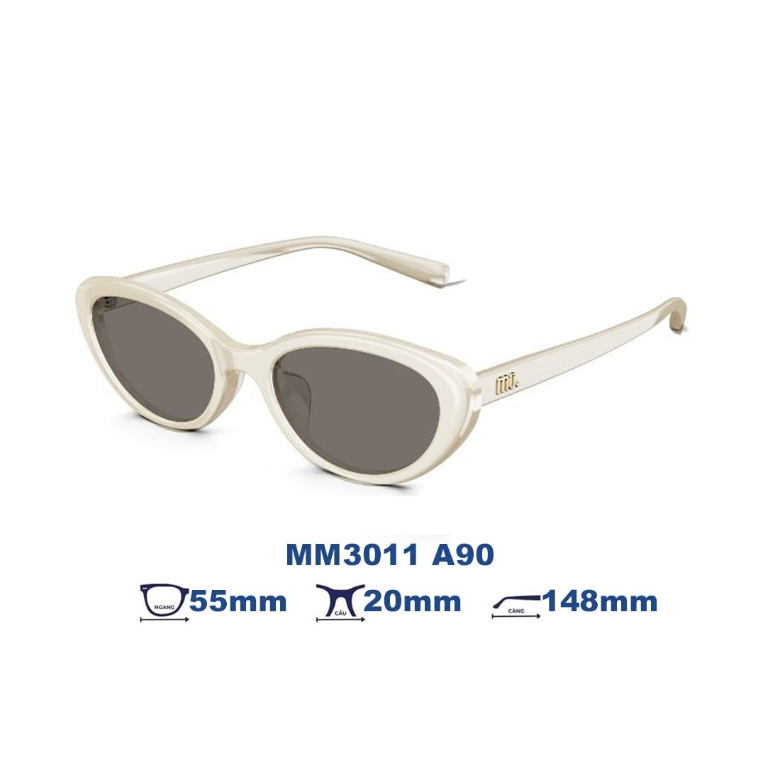 Kính mát MOLSION MM3011 A90