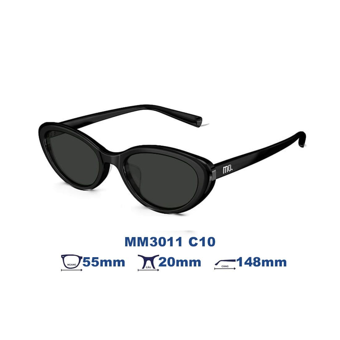 Kính mát MOLSION MM3011 C10