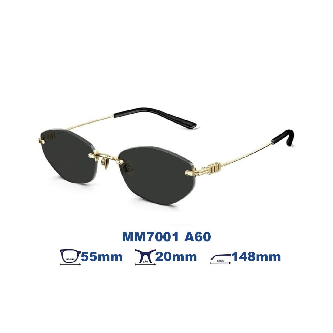 Kính mát MOLSION MM7001 A60