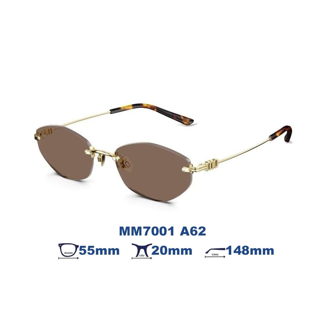 Kính mát MOLSION MM7001 A62