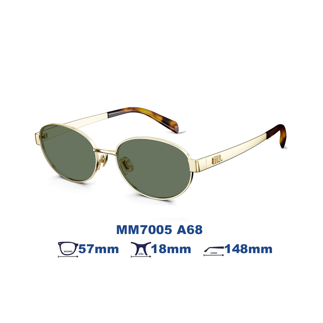 Kính mát MOLSION MM7005 A68