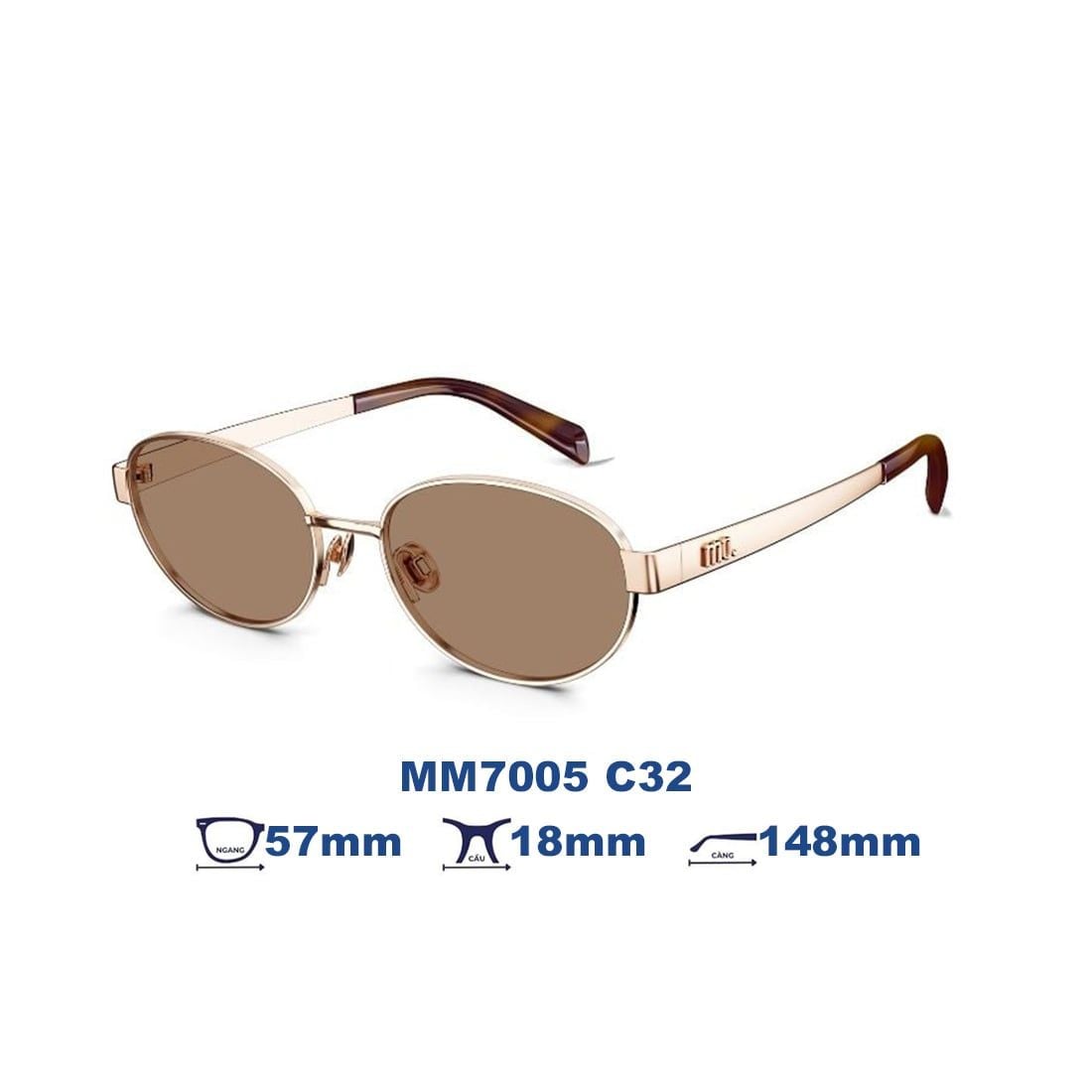 Kính mát MOLSION MM7005 C32